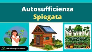 Autosufficienza (Autosostenibilità) SPIEGATA 1 autosufficienza spiegazione