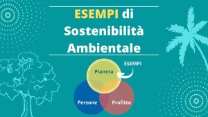 7 Esempi di sostenibilità ambientale 1 esempi di sostenibilità ambientale