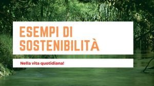 4 ESEMPI di sostenibilità nella vita quotidiana 1 esempi di sostenibilità nella vita quotidiana
