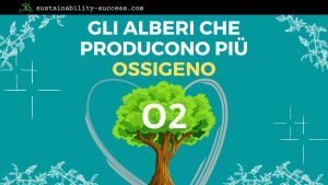 quali alberi producono più ossigeno