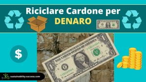riciclare cartone per denaro