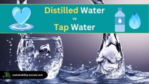 Distilled Water vs Tap Water: Which is the Healthier Choice? 1 distilled water vs tap water