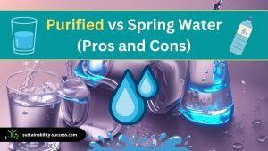 Purified vs Spring Water: Pros & Cons (and Better Choice) 1 purified vs spring water pros and cons