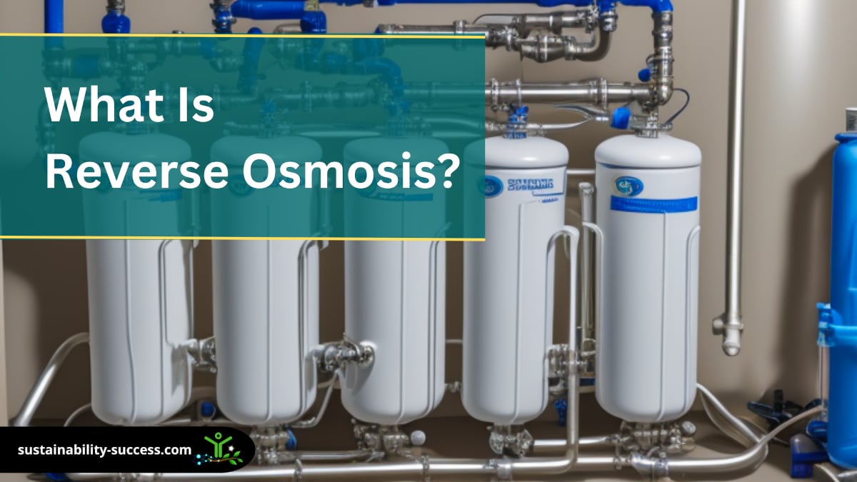 Water Distiller vs Reverse Osmosis Which is BETTER?