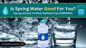 Is Spring Water Good For You? (COMPARING Drinking Water Types) 1 is spring water good for you