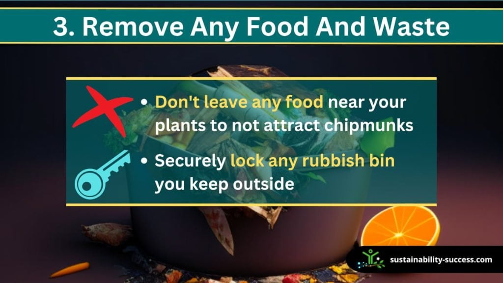 how to keep chipmunks out of your garden - remove food and waste
