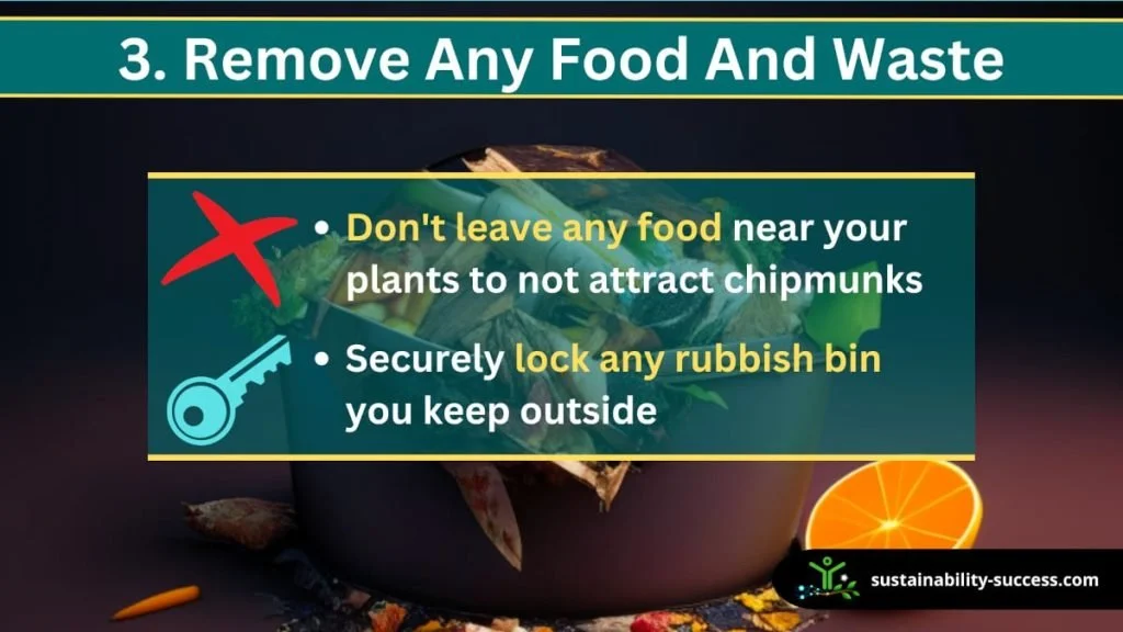 how to keep chipmunks out of your garden - remove food and waste