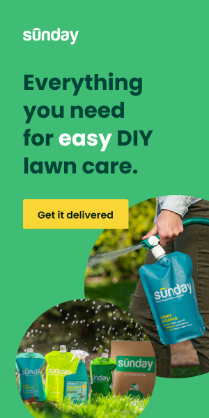Sunday Lawn Care DIY