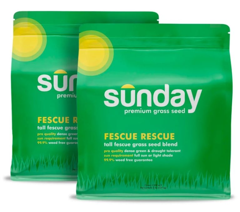 How Much Grass Seed Do I Need? (CALCULATOR & Guide) Sustainability