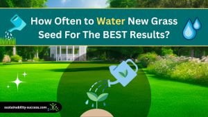 How Often to Water New Grass Seed For The BEST Results? 1 How Often to Water New Grass Seed