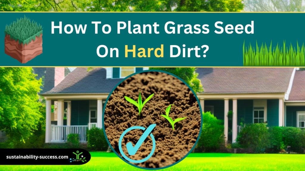 How to plant grass seed on hard dirt