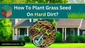 How to Plant Grass Seed on Hard Dirt? (7 EASY Steps) 1 How to plant grass seed on hard dirt