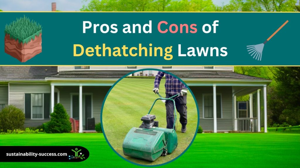 Pros and Cons of Dethatching Lawns