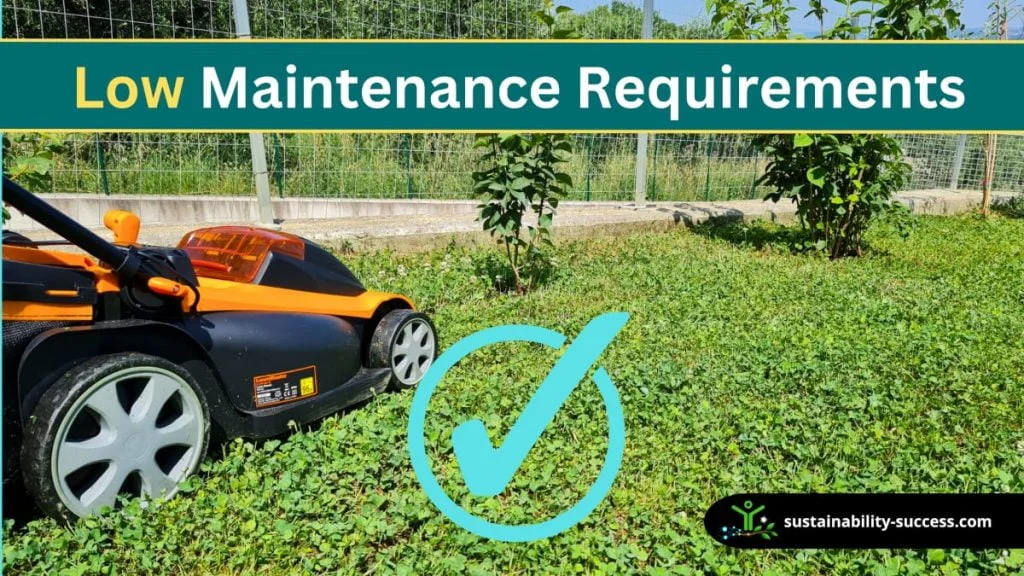 14 Micro Clover Lawn PROS and CONS 5 advantages and disadvantages of micro clover lawn - low maintenance requirements