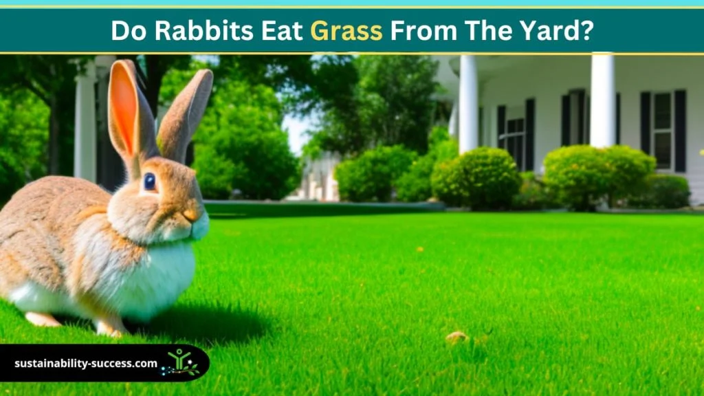 do rabbits eat grass from the yard