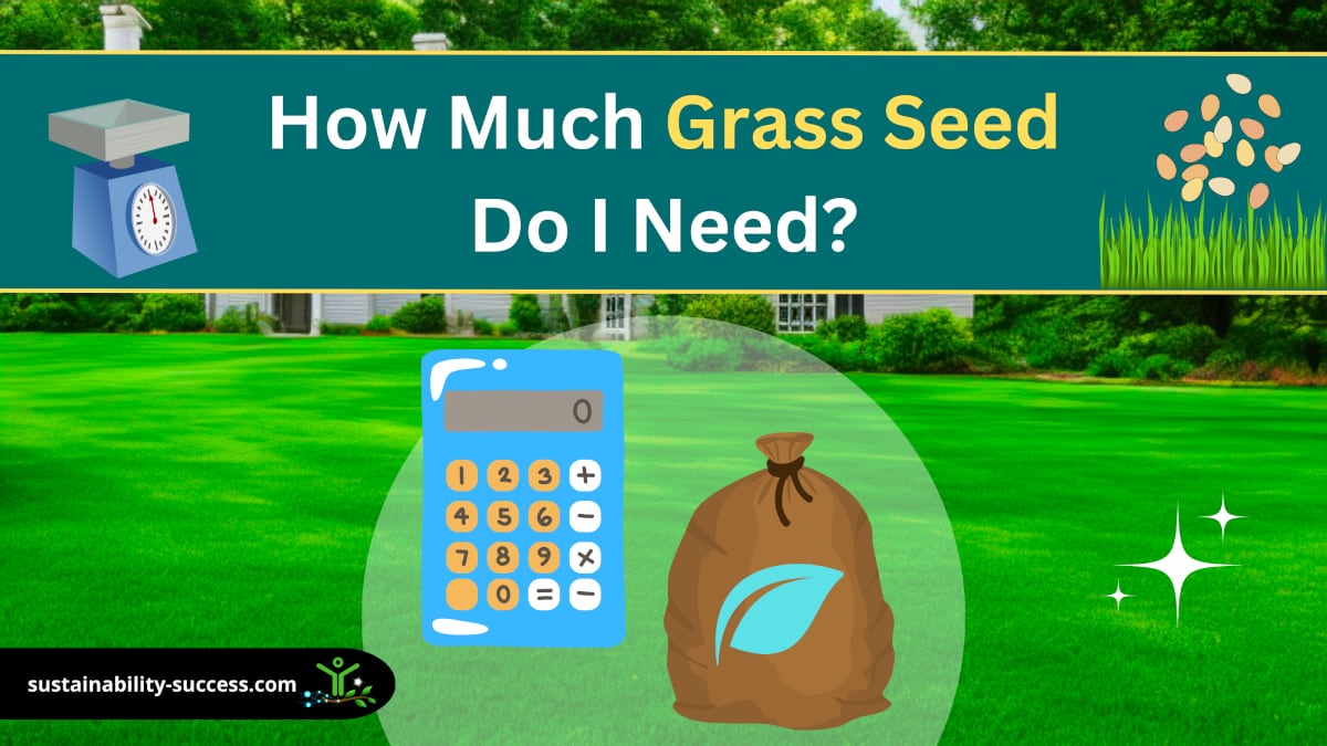 how much grass seed do I need