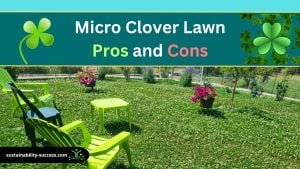 micro clover lawn pros and cons