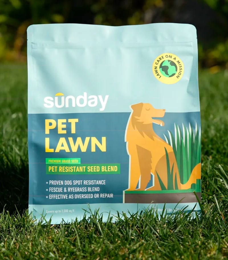 pet-friendly lawn grass seeds