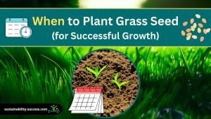 When to Plant Grass Seed in the USA for SUCCESSFUL Growth 1 when to plant grass seed