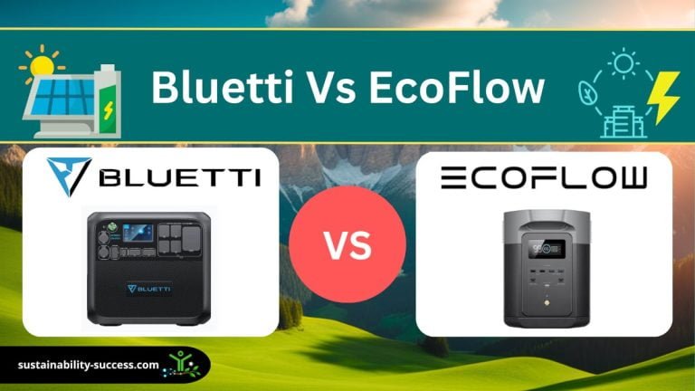 Bluetti vs EcoFlow