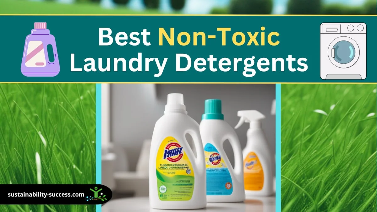 best non toxic laundry detergent
