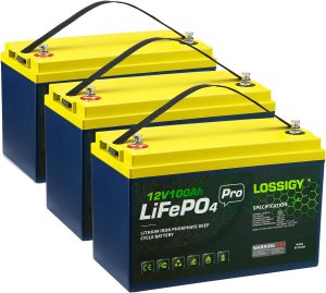 affordable lithium golf cart batteries - Lossigy 12V 100Ah