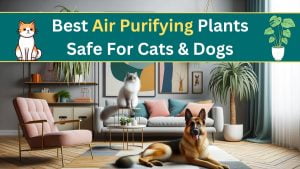 Best Air Purifying Plants Safe For Cats and Dogs