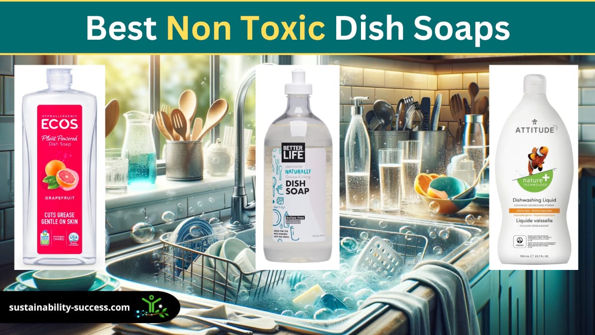 Best Non Toxic Dish Soaps