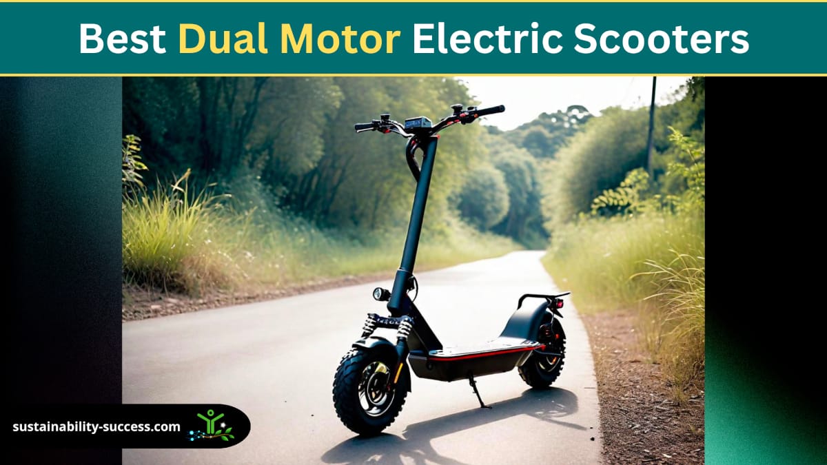 best dual motor electric scooters
