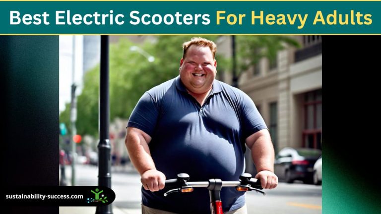 best electric scooters for heavy adults