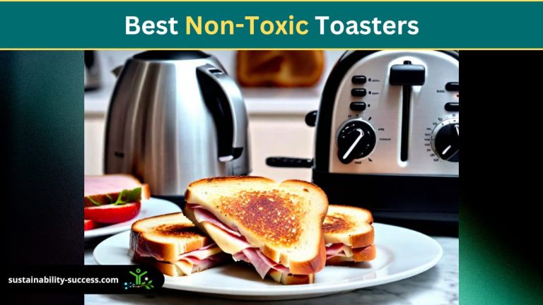 best non-toxic toasters
