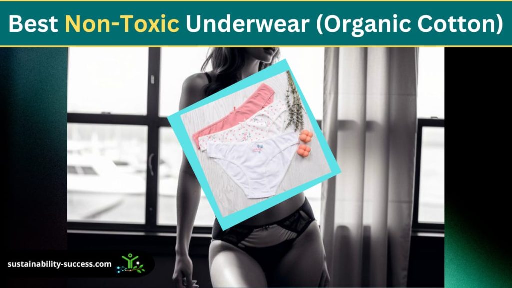 best non-toxic underwear - organic cotton