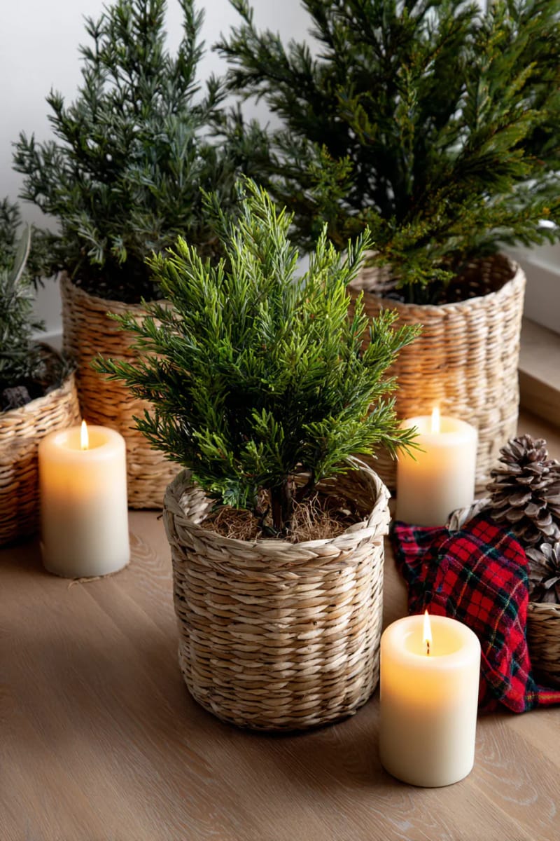 miniature evergreen trees in woven baskets surrounded by pillar candles 1