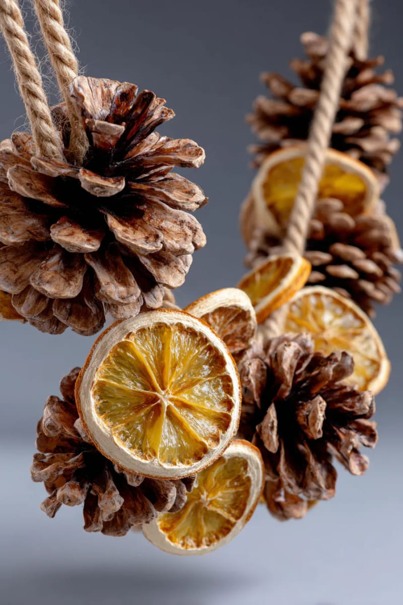 27 Rustic Christmas Decoration Ideas For Your Farmhouse 6 pinecone garlands intertwined with twine and dried orange slices 1