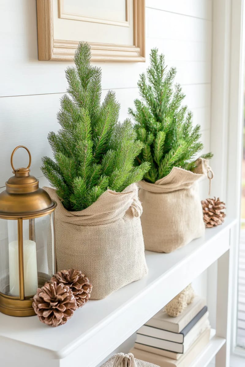 small potted spruce trees in burlap sacks atop a white console table 1