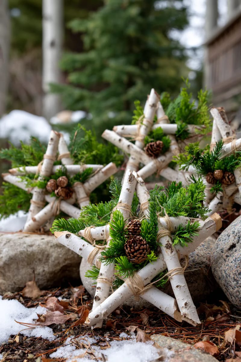 birch branch stars adorned with pine sprigs and tiny pinecones 1
