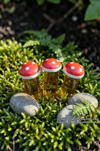12 Surprising Crafts With Old Pill Bottles 1 fairy-garden toadstools made from a pill bottle and its cap 2