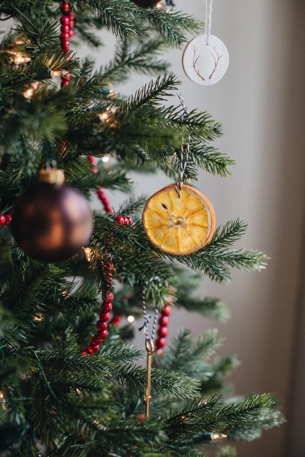 13 Birdseed Ornaments for an Outdoor Christmas Tree the Birds Will Actually Eat 18 dried orange slices strung with cranberries 1