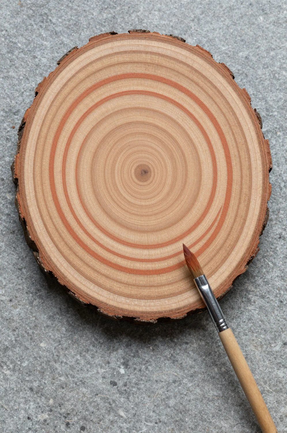 13 Painted Wood Slice Ornaments for a Minimalist Tree 15 growth rings traced in a single color 1
