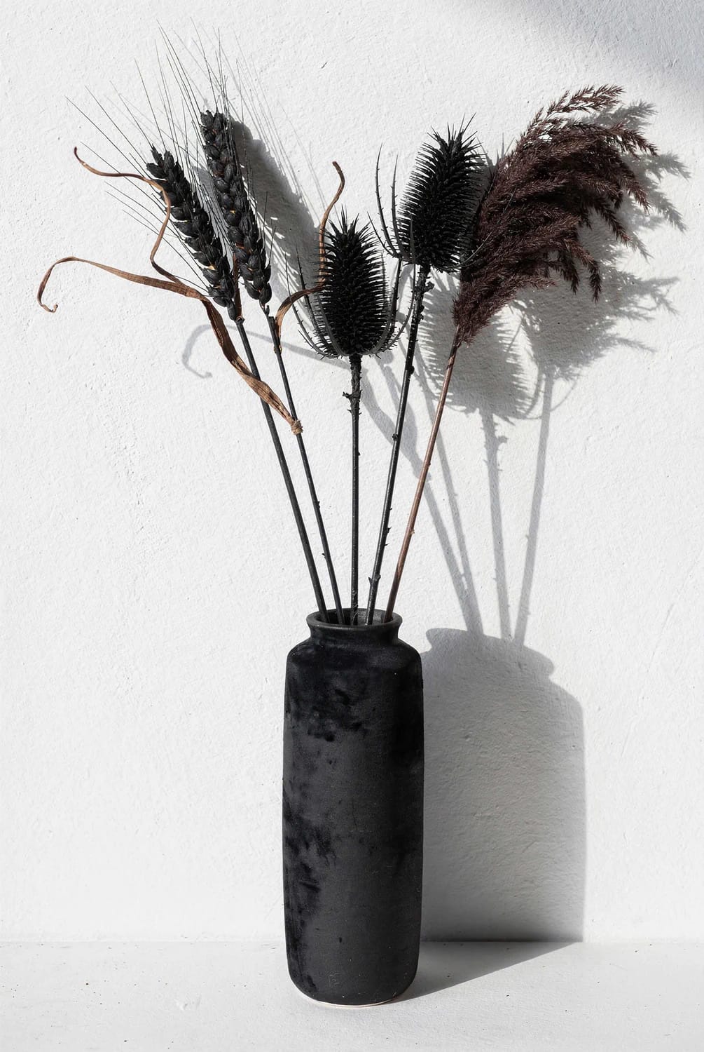 Dried Seedhead and Pampas Winter Arrangements That Don't Read as Leftover Fall 18 near-black seedheads against a pale wall read winter, not autumn 1