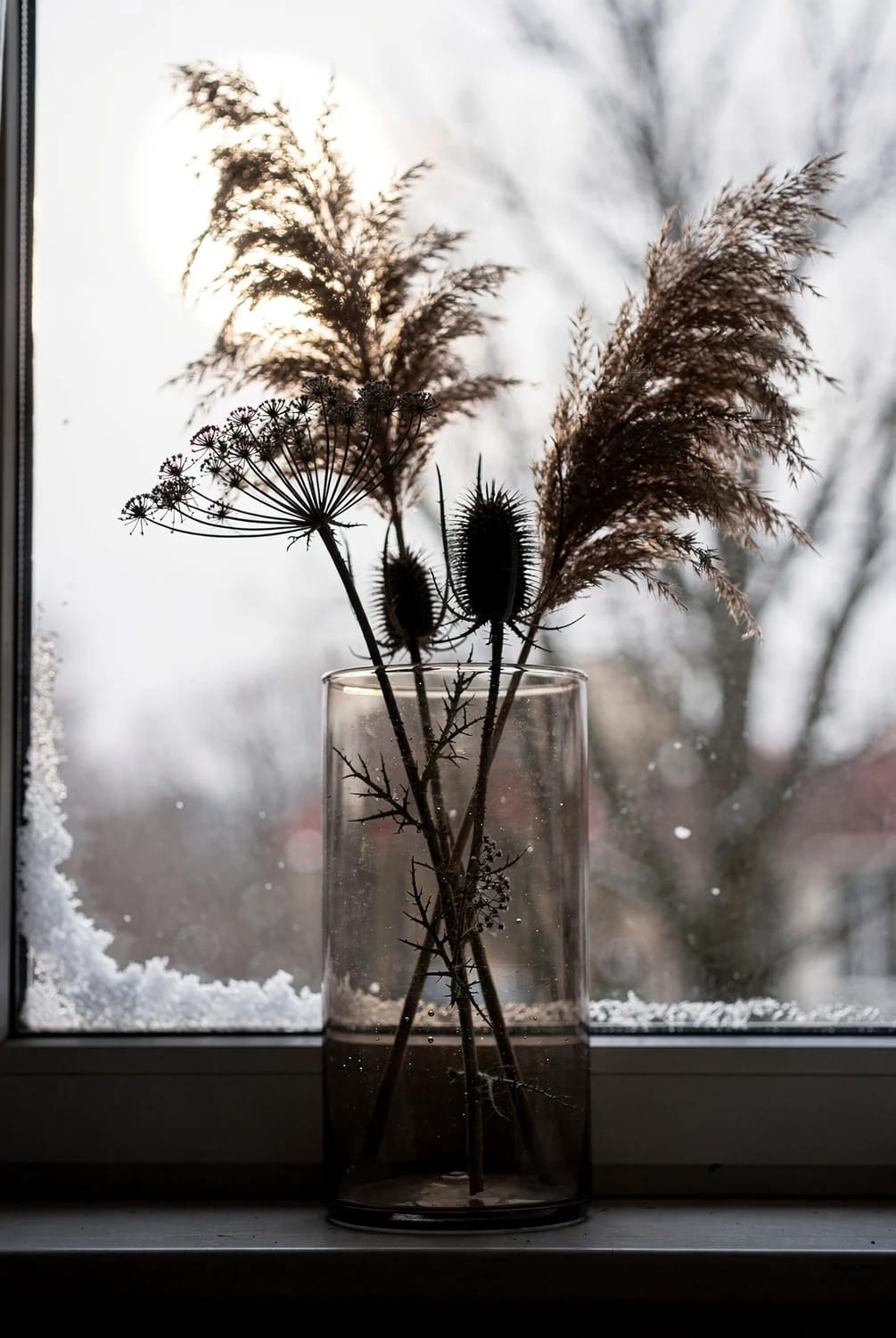 Dried Seedhead and Pampas Winter Arrangements That Don't Read as Leftover Fall 15 put the seedheads where the low winter sun gets behind them 1