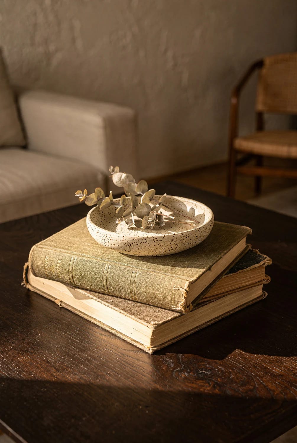 A shallow speckled bowl holding dried leafy branches sits on two stacked vintage books on a dark wooden living room centre table, with a sofa and wooden chair in the background.